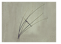 geometria_10