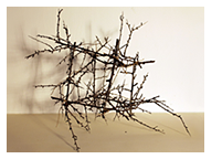 geometria_11